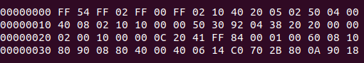 dragonone_dram_access_ok.png