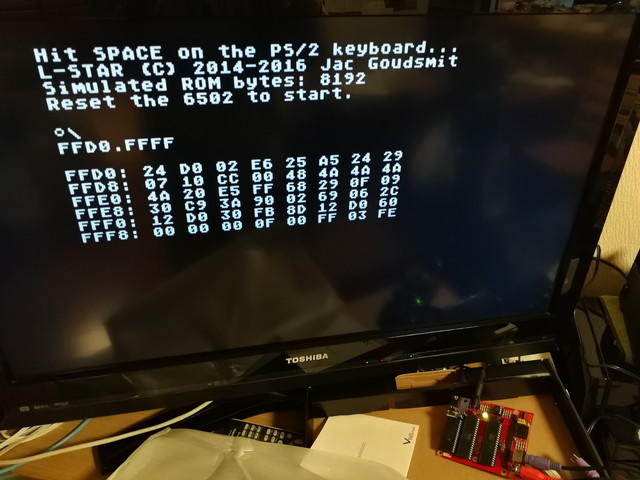 l_star_plus_run1.jpg