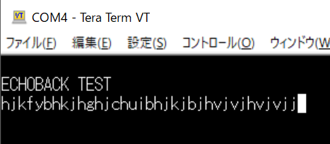 sbc6809_echotest.png